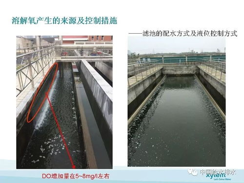 深床濾池在污水廠類四類水提標項目中的關鍵應用及與污水管網工程協同探討